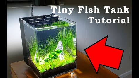 魚缸造景|7分鐘學會小缸無痛造景 HOW TO make a mini fish tank